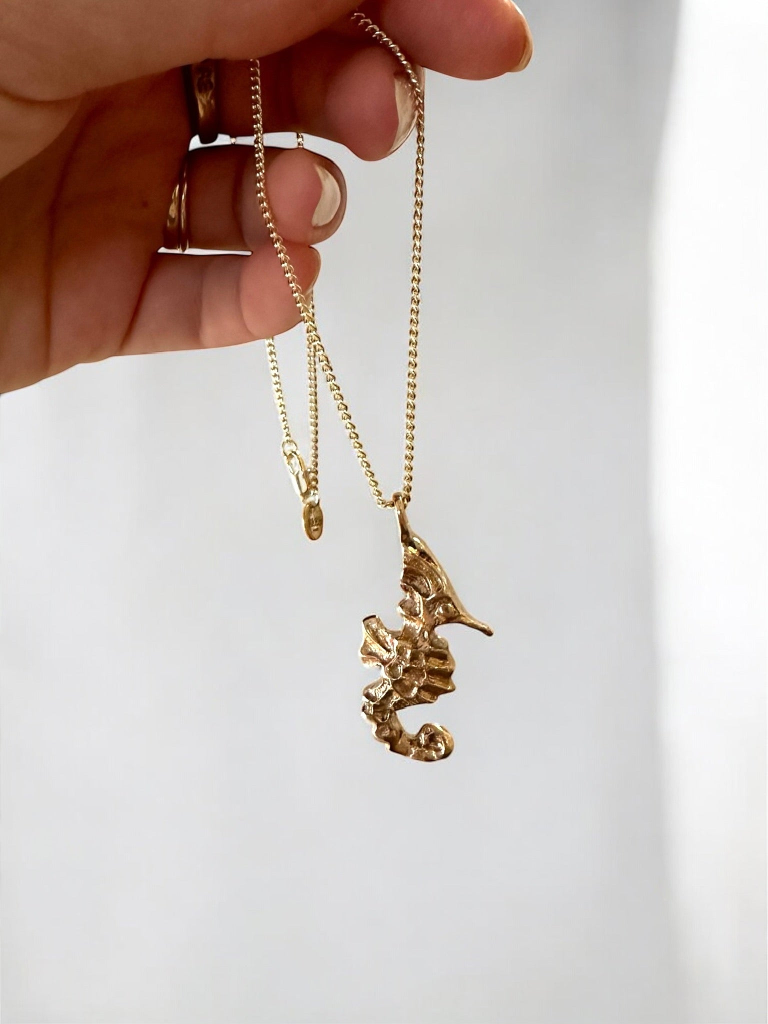 Seahorse necklace