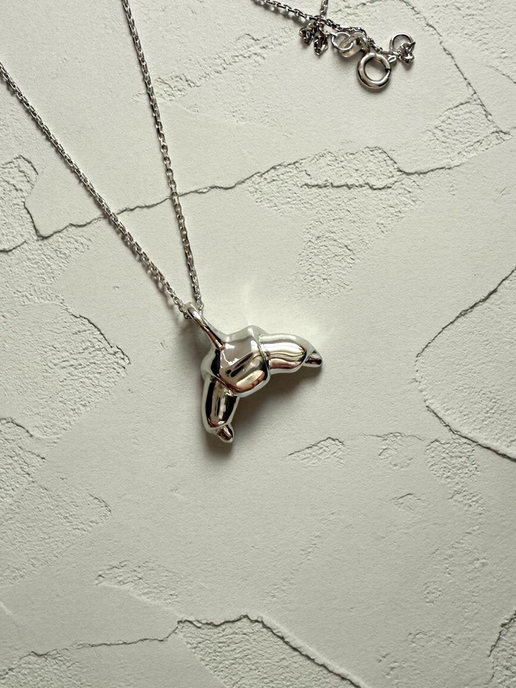 Croissant silver necklace