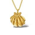 Shell necklace