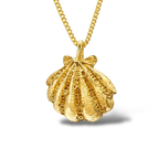 Shell necklace